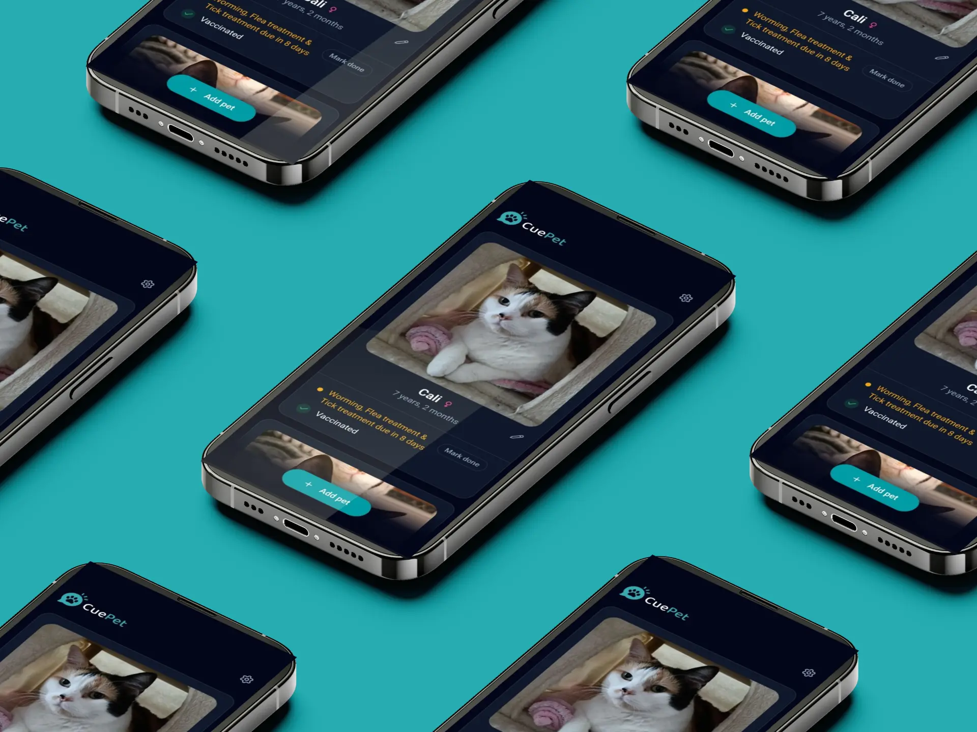 App Design, CuePet